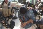 بازداشت 8 تروریست داعشی در نینوا و الانبار عراق