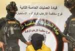 ۹ تروریست داعشی در سلیمانیه عراق بازداشت شدند