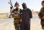 یک تروریست داعشی در سامراء بازداشت شد