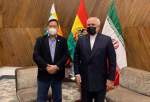 Iranian FM calls for boosting relations in meeting with Bolivia president-elect
