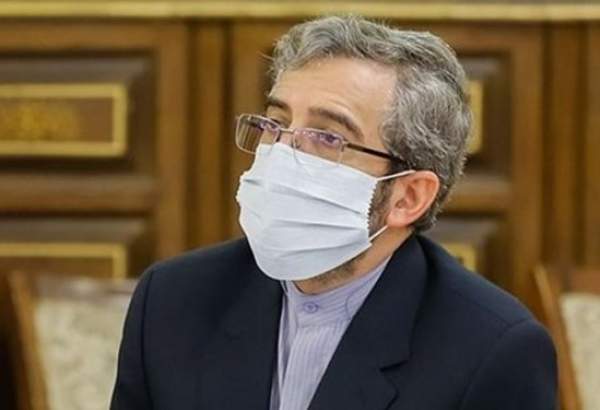 واکنش دبیر ستاد حقوق بشر قوه قضاییه به تلاش غربی‌ها برای تصویب قطعنامه علیه ایران