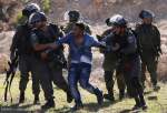 Les forces sionistes capturent un grand nombre de Palestiniens en Cisjordanie