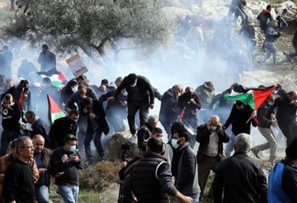 دهها فلسطینی در درگیری با اشغالگران صهیونیست زخمی شدند
