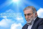 نمازگزاران اهل سنت صادقیه تهران ترور شهید فخری زاده را محکوم کردند