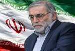محکومیت ترور دانشمند هسته ای ایران از سوی دولت امارات