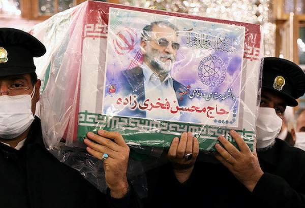 Israeli official :The world should thank Israel for the killing of Iranian scientist