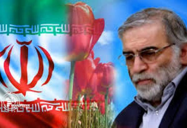 شنگھائی تعاون تنظیم کی ایران کے جوہری سائنسداں کے قتل کی مذمت۔