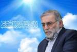 اطلاعیه وزارت دفاع درباره برگزاری مراسم بزرگداشت شهید «فخری‌زاده»