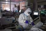پاکستان بھر میں کورونا وبا کے مریضوں میں اضافہ۔