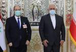 تاکید ظریف بر حمایت ایران از روند آستانه
