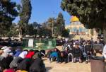 برگزاری نماز جمعه در مسجد الاقصی علی رغم تدابیر شدید امنیتی  