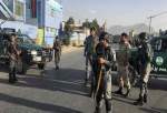 هلاکت ۹۰ نفر از عناصر طالبان در ولایت قندهار افغانستان