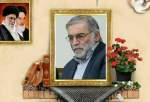 La scientifique iranienne Fakhrizadeh reçoit la médaille de la victoire à titre posthume
