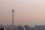 شاخص کیفیت هوا برای گروه‌های حساس جامعه آلوده است
