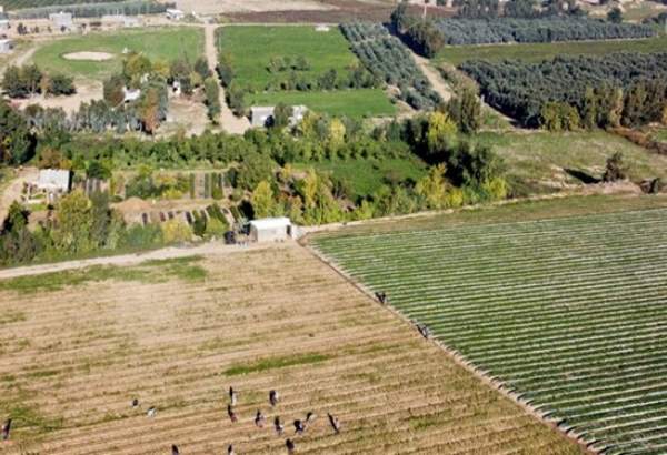 رژیم صهیونیستی، زمین‌های کشاورزی فلسطینیان را به زیر آب برد