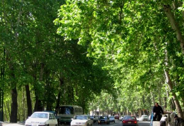 خیابان ولیعصر(عج) تهران ثبت جهانی می‌شود