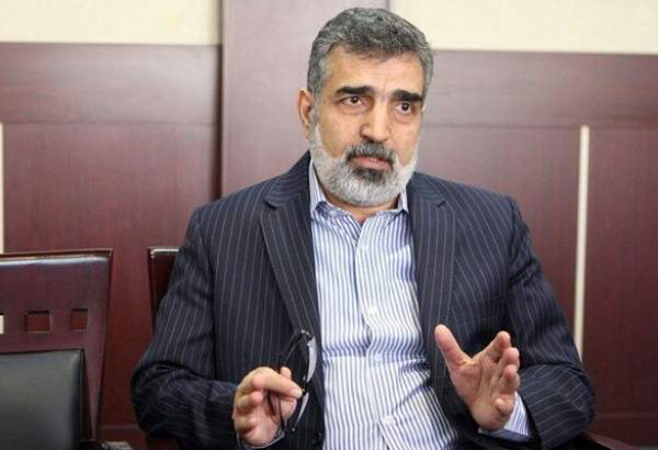 کمالوندی: تأخیر در لغو تحریم‌های ایران به نفع پیشرفت ایران است