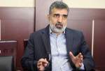 کمالوندی: تأخیر در لغو تحریم‌های ایران به نفع پیشرفت ایران است