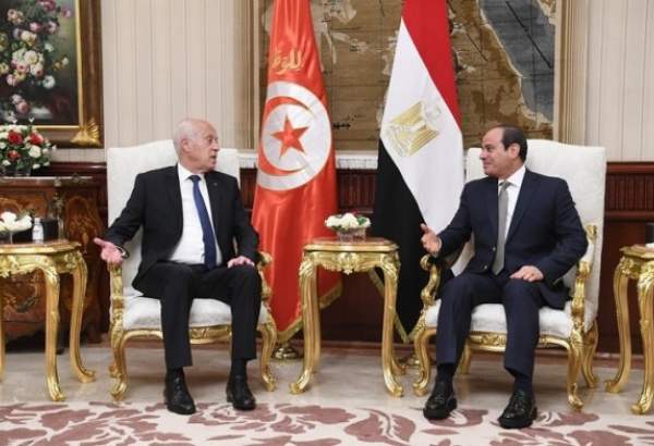 انتقادات للرئيس التونسي لمهاجمته "الإسلاميين" بعد زيارته السيسي