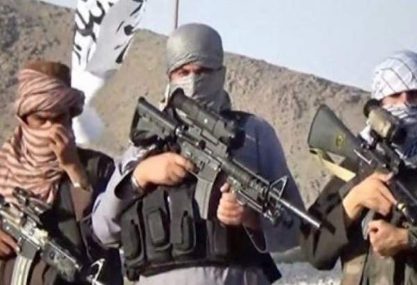 طالبان کے حملوں میں متعدد سرکاری اہلکار جاں بحق