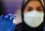 Iran launches 3rd phase in clinical trial of COVIran vaccine (photo)  