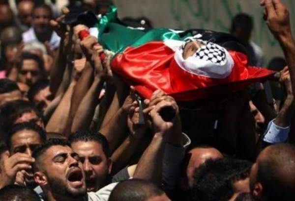 غزہ میں اسرائیل کی وحشیانہ بمباری سے شہداء کی تعداد 65 ہو گئی