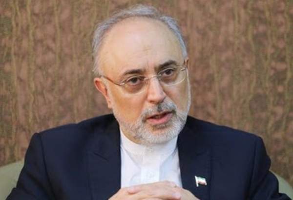 صالحی: غنی سازی ۶۰ درصد ادامه دارد/ تصمیم ایران به مدیر کل آژانس ابلاغ شد