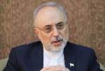 صالحی: غنی سازی ۶۰ درصد ادامه دارد/ تصمیم ایران به مدیر کل آژانس ابلاغ شد