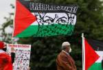 Pro-Palestine rally held in Washington (photo)  