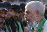 قائد حركة "حماس" في قطاع غزة، "يحيي السنوار"،