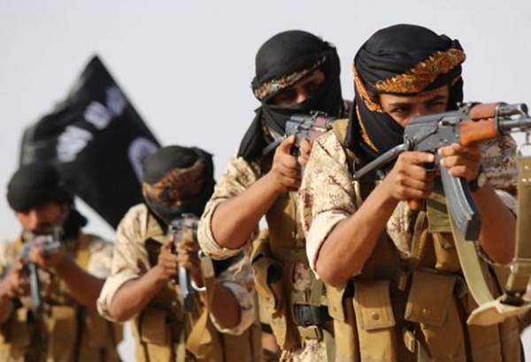 هشدار دیدبان الازهر نسبت به خطر بازگشت داعش