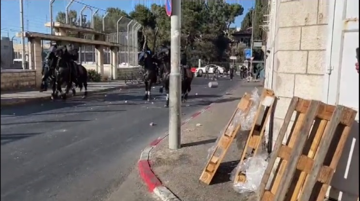 مواجهاتٌ مع خيالة الاحتلال الصهيوني في شارع صلاح الدين بالقدس المحتلة  