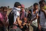 Palestinian protesters injured in clash with Israeli forces in west Bank