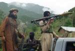 30 Taliban militants killed in Helmand
