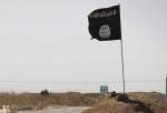 Key ISIL member killed in Kirkuk
