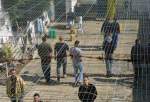 Over a dozen Palestinian prisoners on hunger strike to protest detention without trial