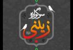 ویژه‌برنامه سوگواره زینبی‌(س) در استان گلستان برگزار می شود
