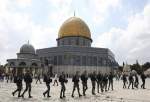 واکنش حماس به حکم دادگاه رژیم صهیونیستی درباره مسجد الاقصی