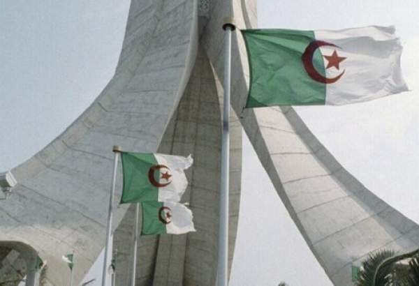 رئيس جمعية العلماء المسلمين في الجزائر: العثمانيون لم يأتونا غزاة