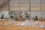 Dozens of Palestinian protesters wounded in West Bank
