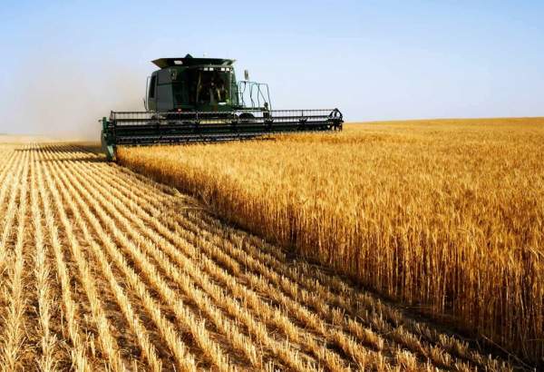 Tehran, Baghdad to boost agricultural coop: official