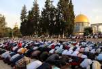 خمسون ألفا  يؤدون  صلاة الجمعة  في المسجد الاقصى