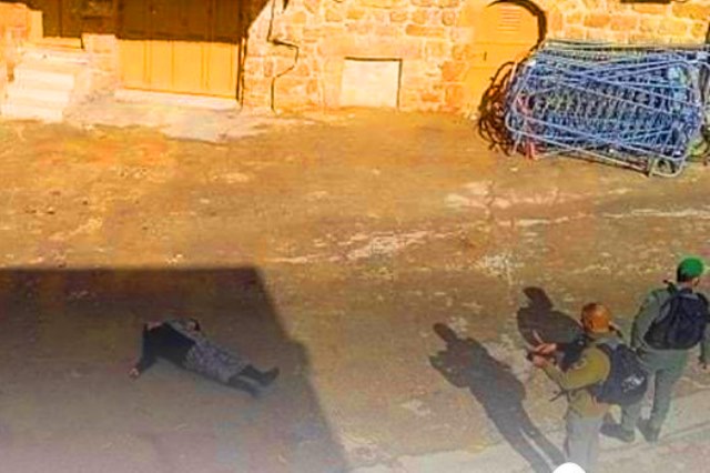 قوات الاحتلال تعتدي على سيدة فلسطينية قبل اعتقالها في الخليل