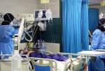جان باختن 41 بیمار بر اثر ابتلا به کرونا در کشور