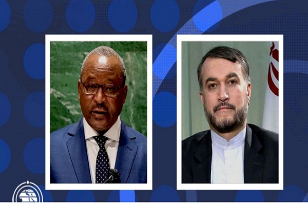 گفت‌وگوی تلفنی امیرعبداللهیان با وزیر امور خارجه نیجر