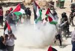 Israeli forces attack, injure dozens of anti-settlement Palestinian protesters in West Bank