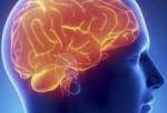 Brains of adults with heart-healthy lifestyle are larger and show fewer signs of injury, research finds