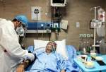 افزایش مجدد فوتی های بیماران کرونایی/جان باختن 116 نفر از هموطنان