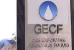 6th session of GECF commences in Doha