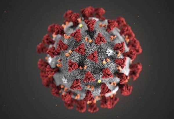 شناسایی ویروس جهش یافته جدید کرونا در سرزمین‌های اشغالی